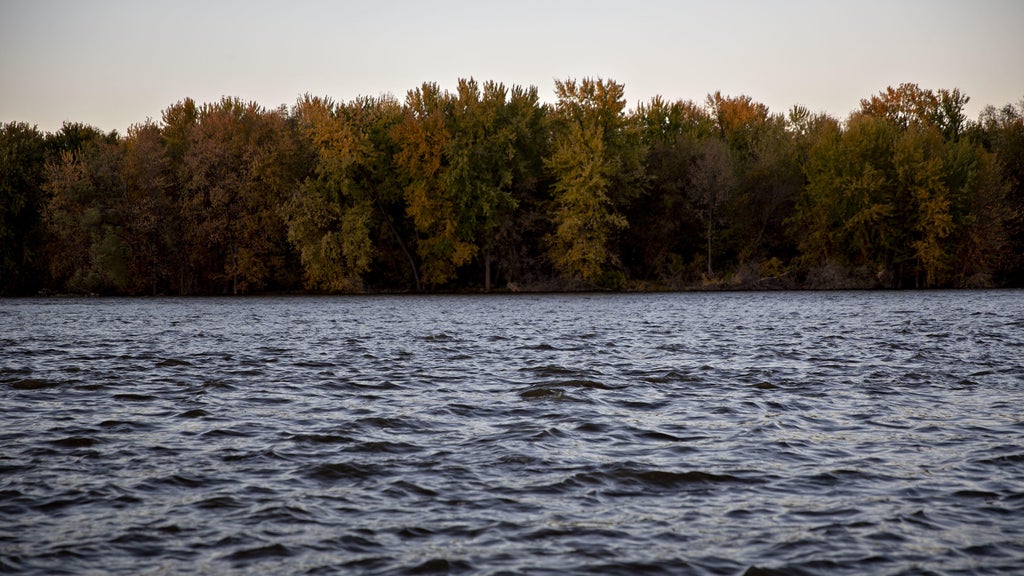 Watchdog says PFAS found in 100% of Minnesota water testing sites — WCCO / CBS Minnesota, Robbinsdale Health news