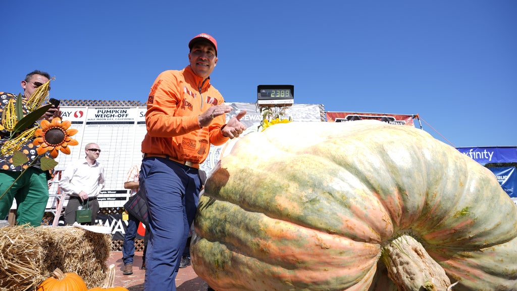 Minnesota man drives hauls giant pumpkin over 2,000 miles to California competition — WCCO / CBS Minnesota, Robbinsdale Community news