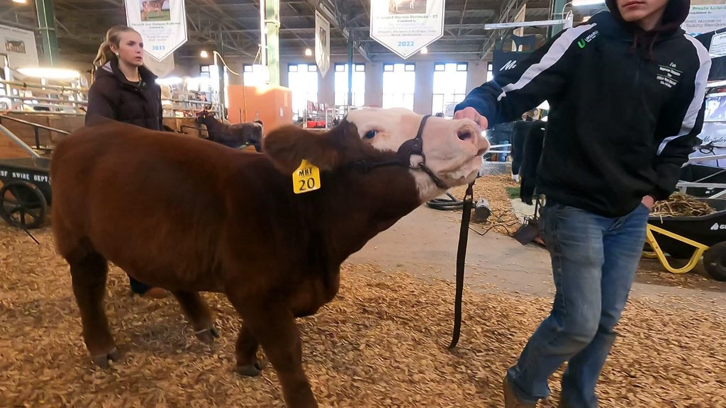 Spotlight on beef as Minnesota midterms near — WCCO / CBS Minnesota, Robbinsdale Community news