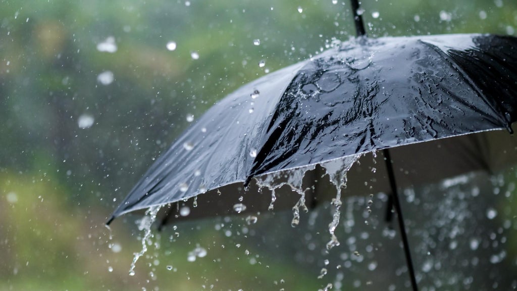 Widespread rain in Minnesota Monday; milder air returns Tuesday — WCCO / CBS Minnesota, Robbinsdale Community news