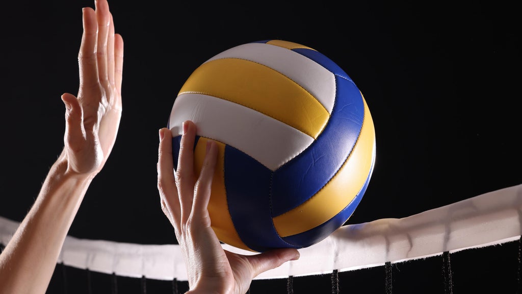 SeatGeek's first volleyball partner is the Minnesota Forge in a multiyear deal — WCCO / CBS Minnesota, Robbinsdale Business news