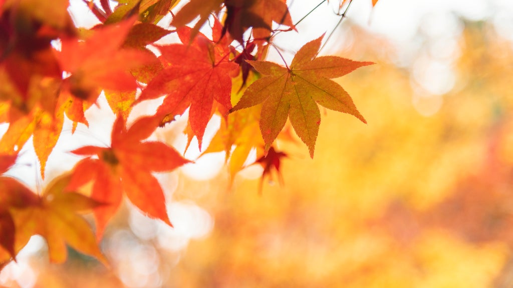 More sunny, mild late October weather in Minnesota Tuesday — WCCO / CBS Minnesota, Robbinsdale Business news