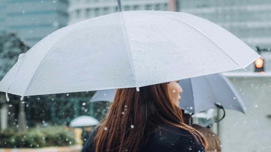 Soggy, chilly Thursday in the Twin Cities; season's first frost possible Saturday — WCCO / CBS Minnesota, Robbinsdale Sports news