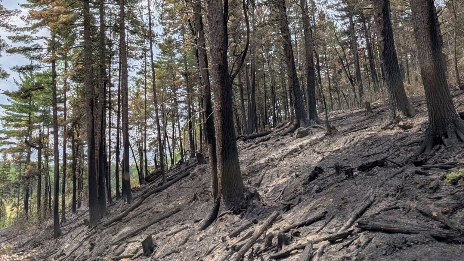 74-year-old who became separated from his family on a trail in Ely was discovered dead — KSTP 5, Robbinsdale Community news