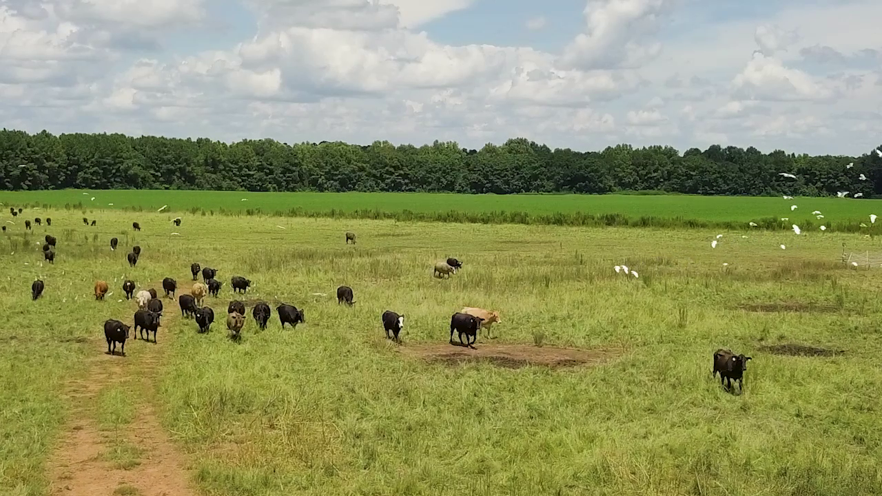 5 ON YOUR SIDE: Regenerative agriculture — Robbinsdale Health news