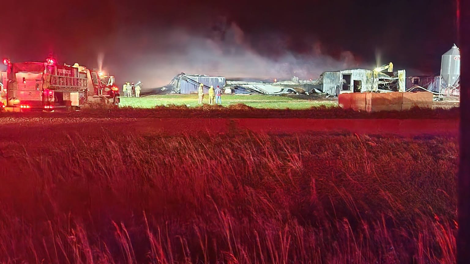 2,400 hogs die in Iowa barn fire — FOX 9, Robbinsdale Community news