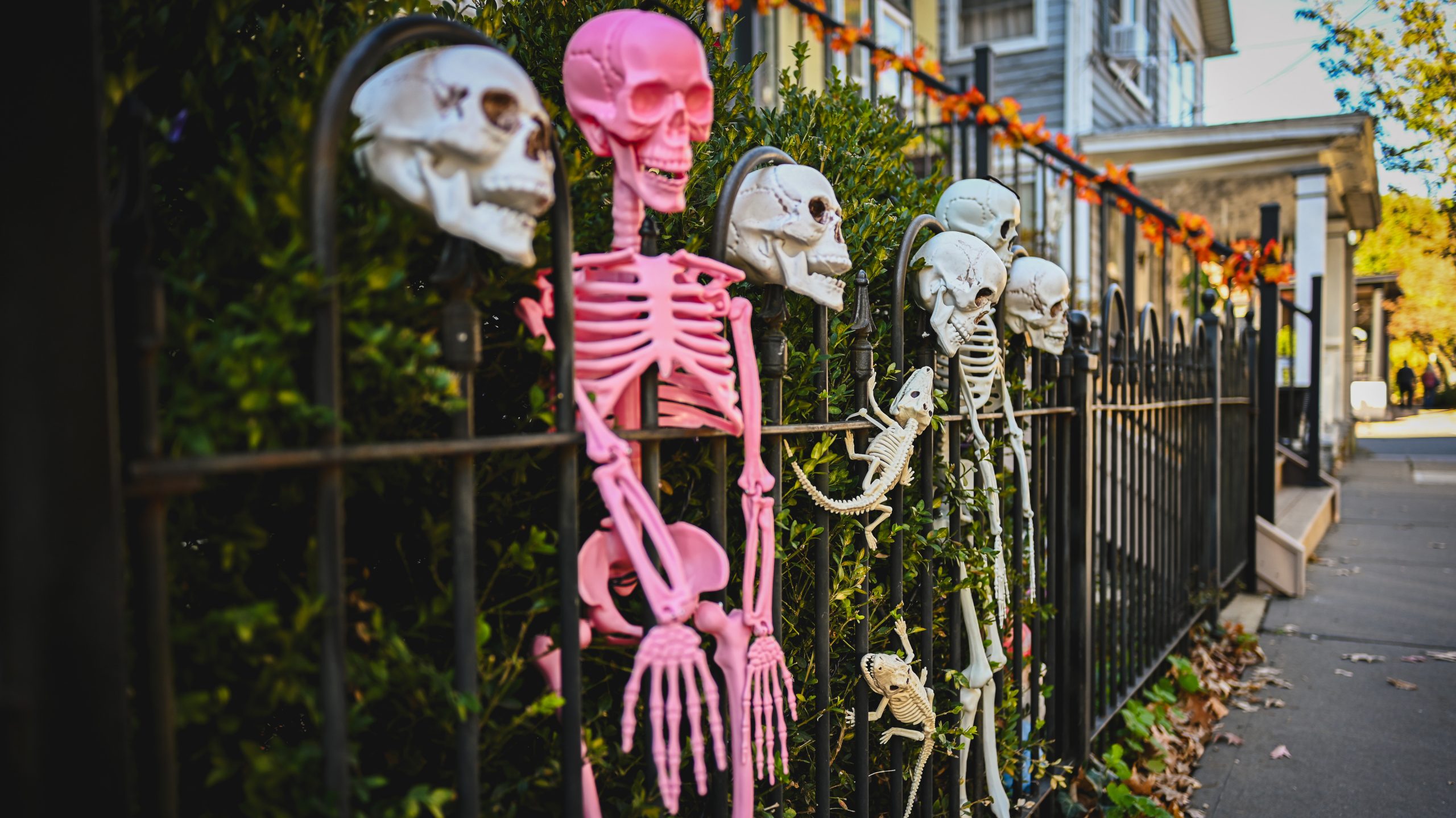 America's best cities for Halloween, ranked — FOX 9, Robbinsdale Community news