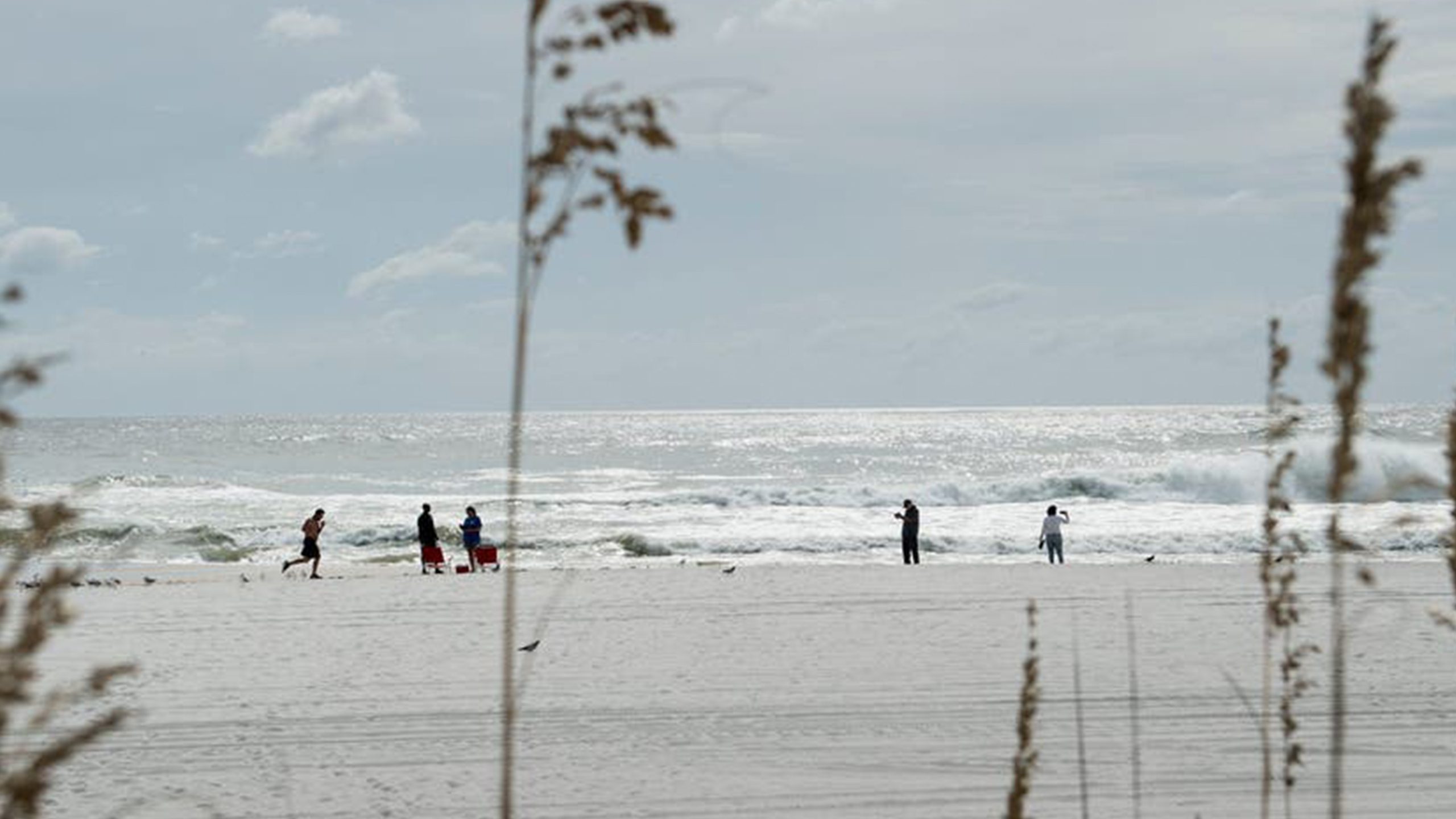 Father of 2 drowns after being caught in current trying to rescue seagull caught in fishing line — Robbinsdale Community news