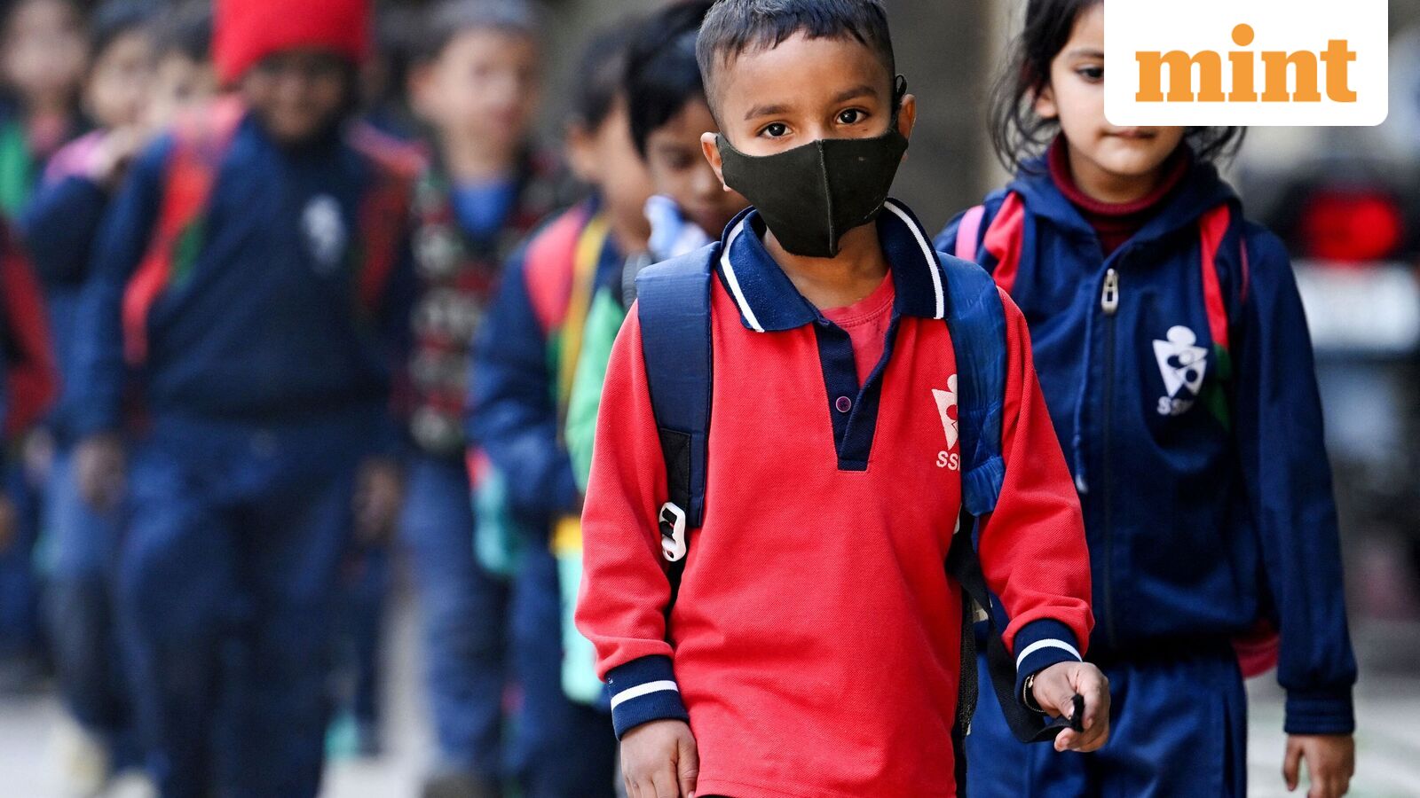 Chennai school holiday, Oct 21: Schools shut in four Tamil Nadu districts as heavy rains predicted | Check IMD alert — Mint India, Robbinsdale Schools news